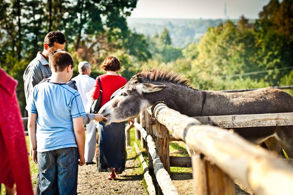 RODZINNE PARKI W MINI ZOO 
