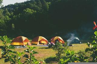 tents-g8dab225f8_640.jpg