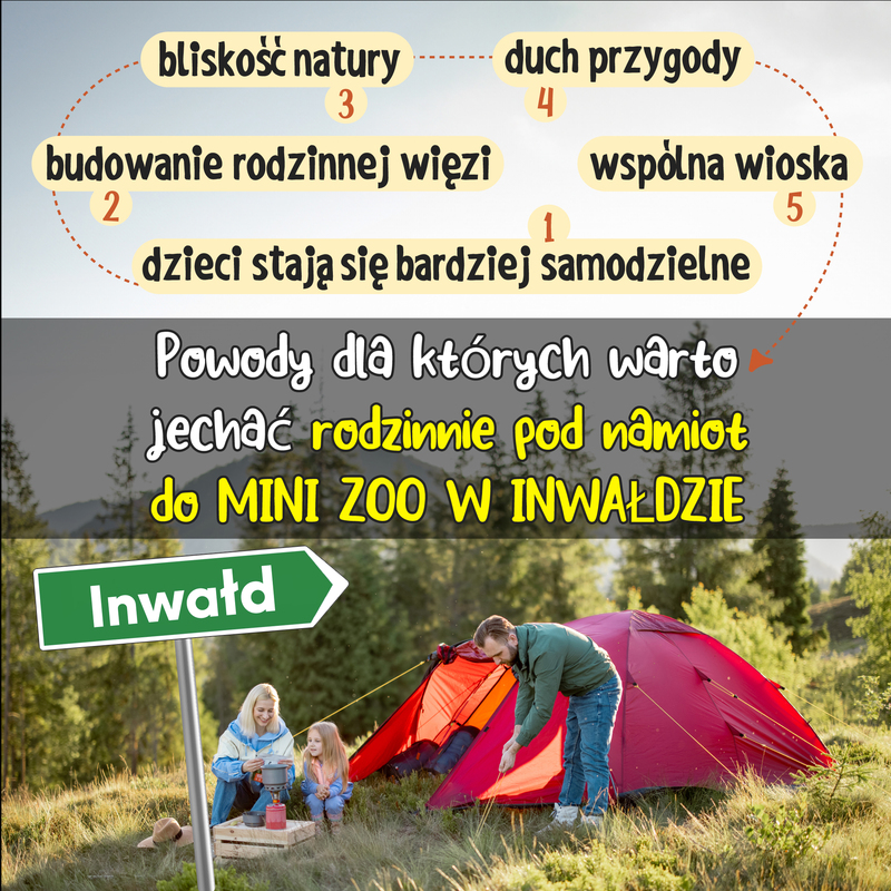 Powody dla których warto przyjechać rodzinnie pod namiot do Mini Zoo w Inwałdzie!